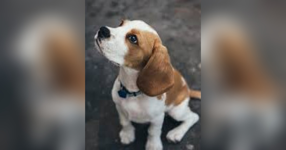 Elbert "Pete" Harrell