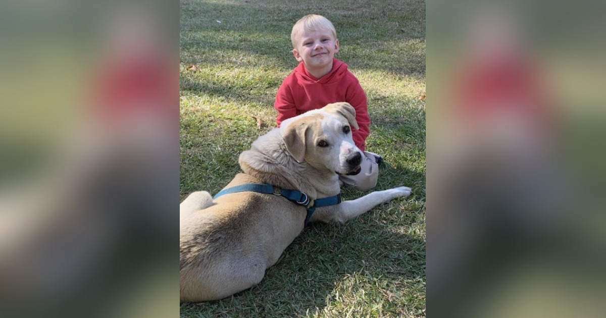 Munk Burke Obituary October 6, 2023 Paws n Reflect Statesboro, GA