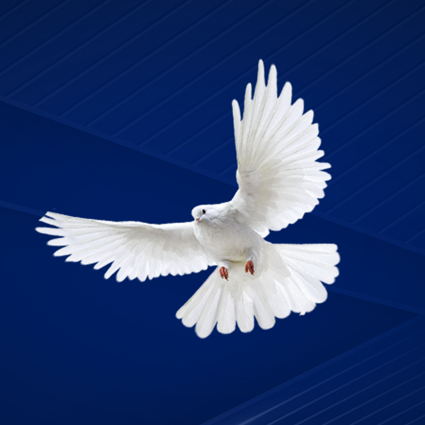 Phyllis Ann Buff Obituary September 5, 2023 Salley, SC