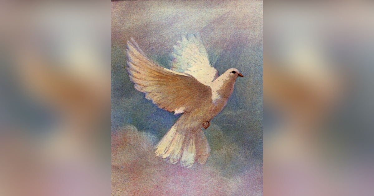 Jennie Sloan Obituary March 19, 2023 Carrier Funeral Home