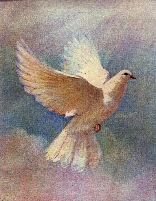 Jennie Sloan Obituary March 19, 2023 Carrier Funeral Home