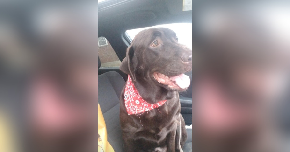 Obituary for Maverick Taylor BinkleyRoss Funeral Home