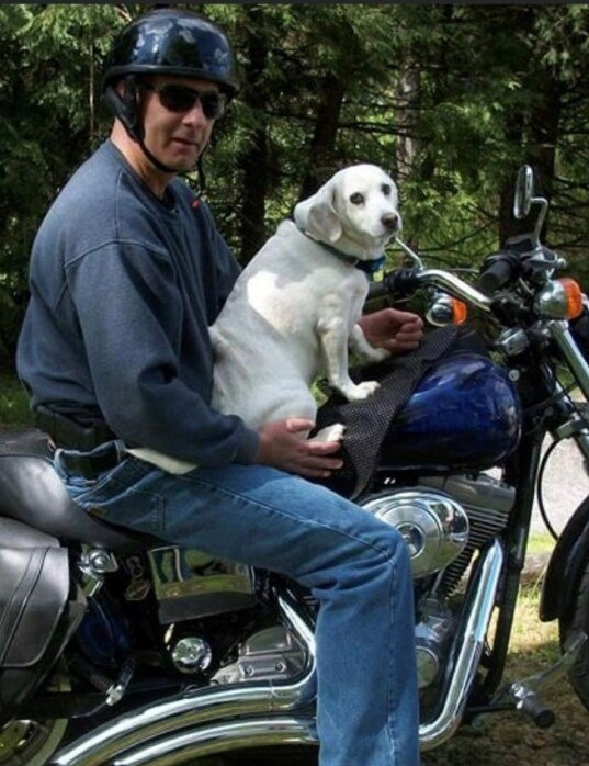 Daniel Lander Obituary July 23, 2023 d'Argy Family Funeral Homes