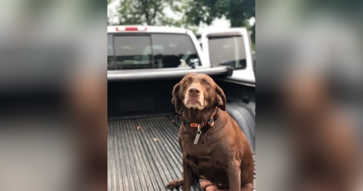 Life story for Bailey ('BayBay') Chaffee Otto Redanz Funeral Home