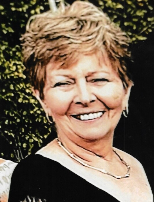 Obituary for Sandra Lee (Pinchback) Blevins Hawkins Funeral Homes