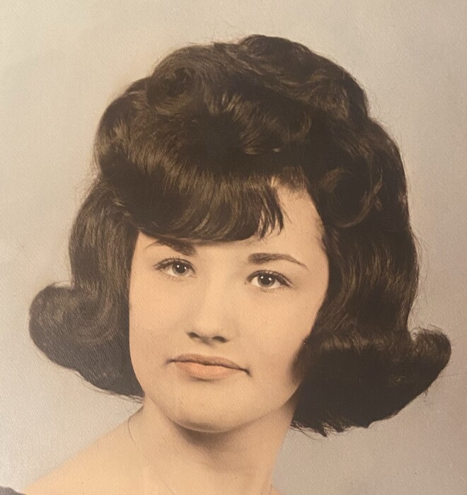 Kathy Hankins Obituary Apr 22, 2024 Carrier Mills, IL