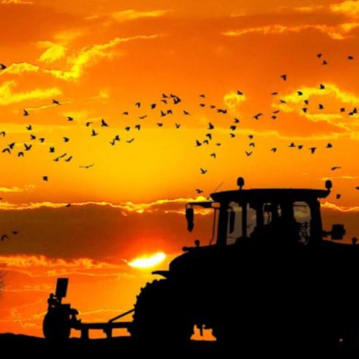 Richard Trevitt Obituary May 12, 2021 Rose and Waid Funeral Home