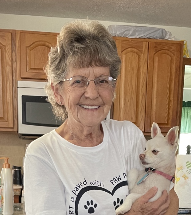 Patricia Stahl Obituary May 28, 2024 Brooks Funeral Home and