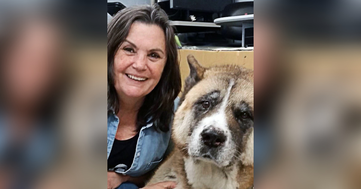 Search Obituaries in South Amboy, NJ