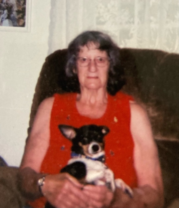 Obituary for Eleanor (Steele) Goebel Ottawa Funeral Home