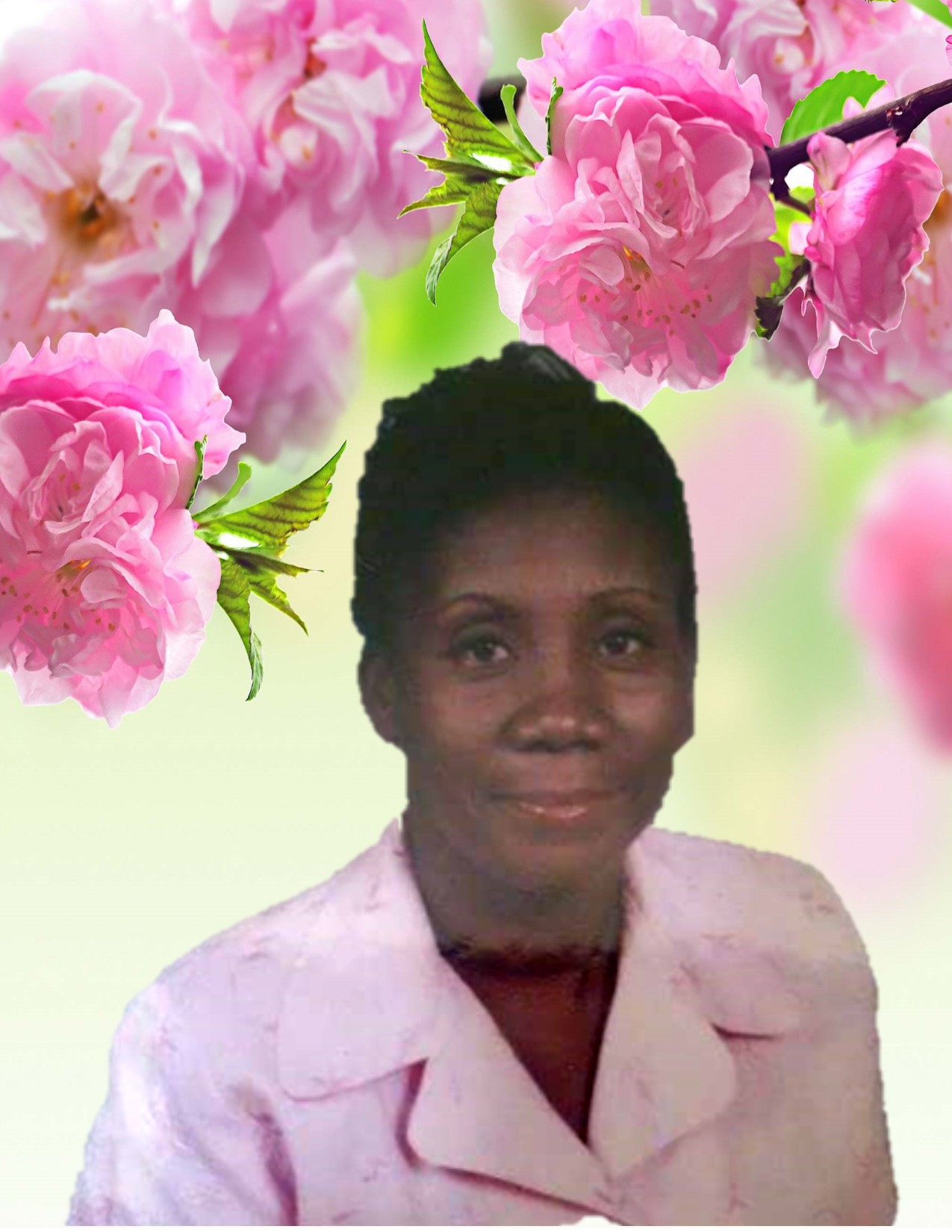 Obituary for Rachel Marcelin PaxVilla USA Funeral Homes