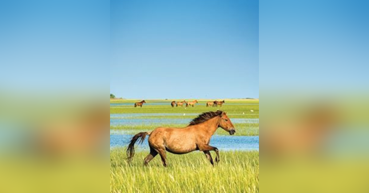 Wilbert Darrell Lewis