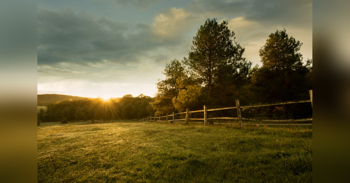 Obituary for Roy Mitchell White Todd County Funeral Home