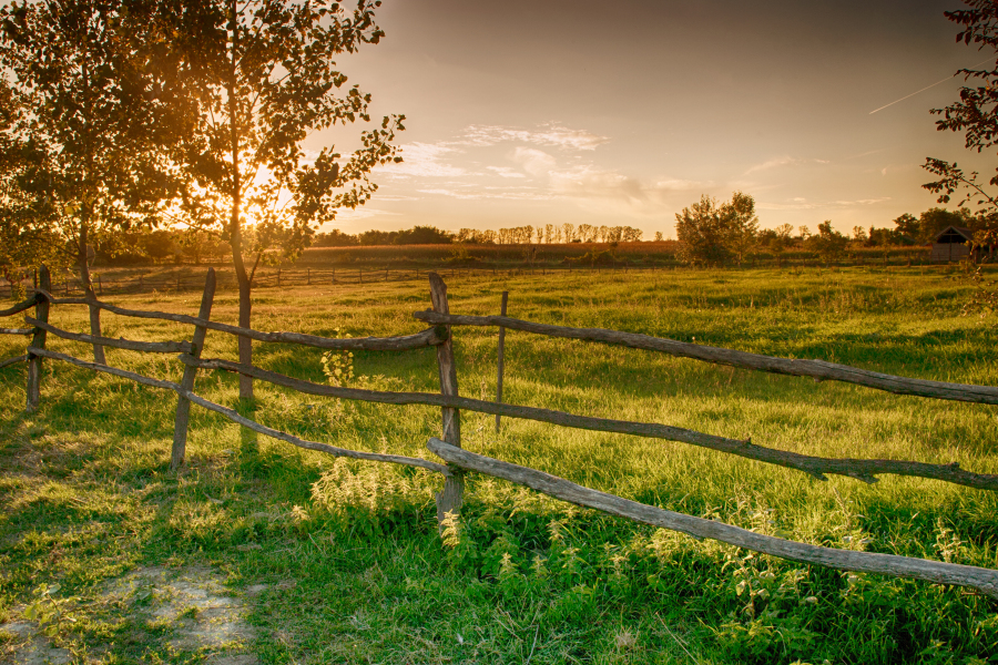 Lois "Lou" Slaughter Obituary January 30, 2023 Todd County Funeral