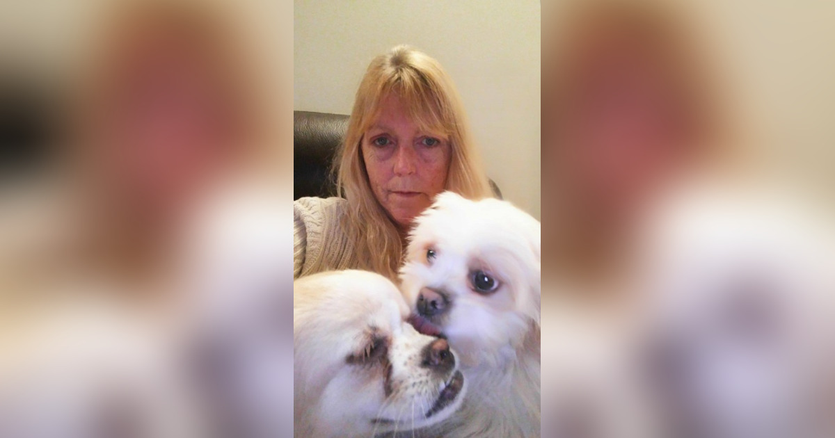 Obituary for Donna (Dexter) Gillies Campbell Funeral Home