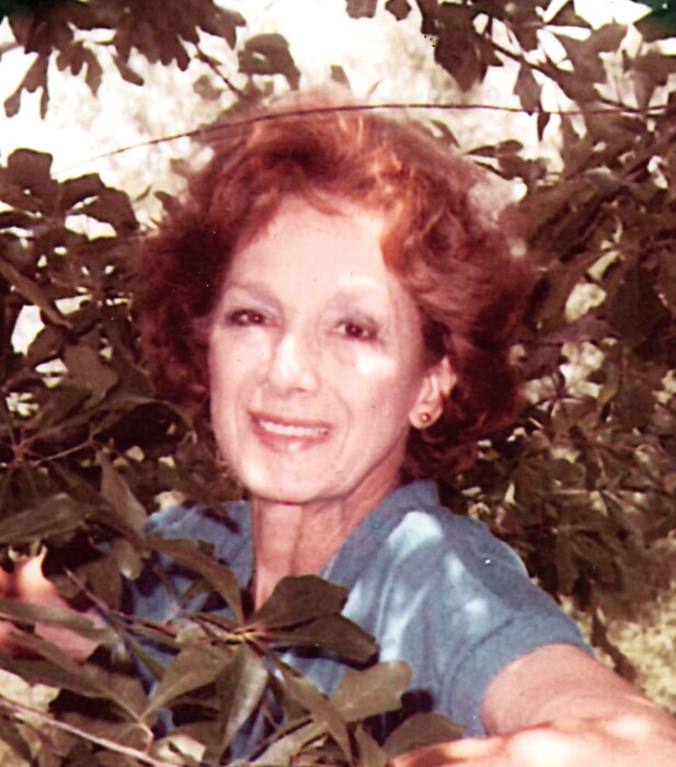 Frances Lindsay Obituary Jun 5, 2024 SC