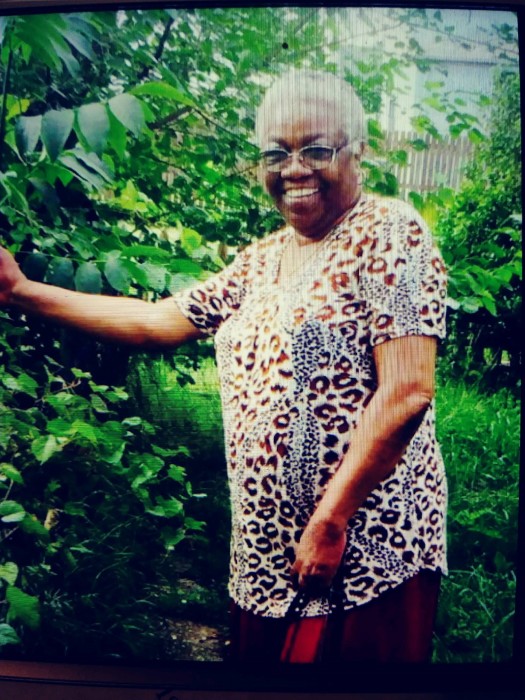 Obituary for Leola Johnson Robert A. Waters Funeral Home, Inc.