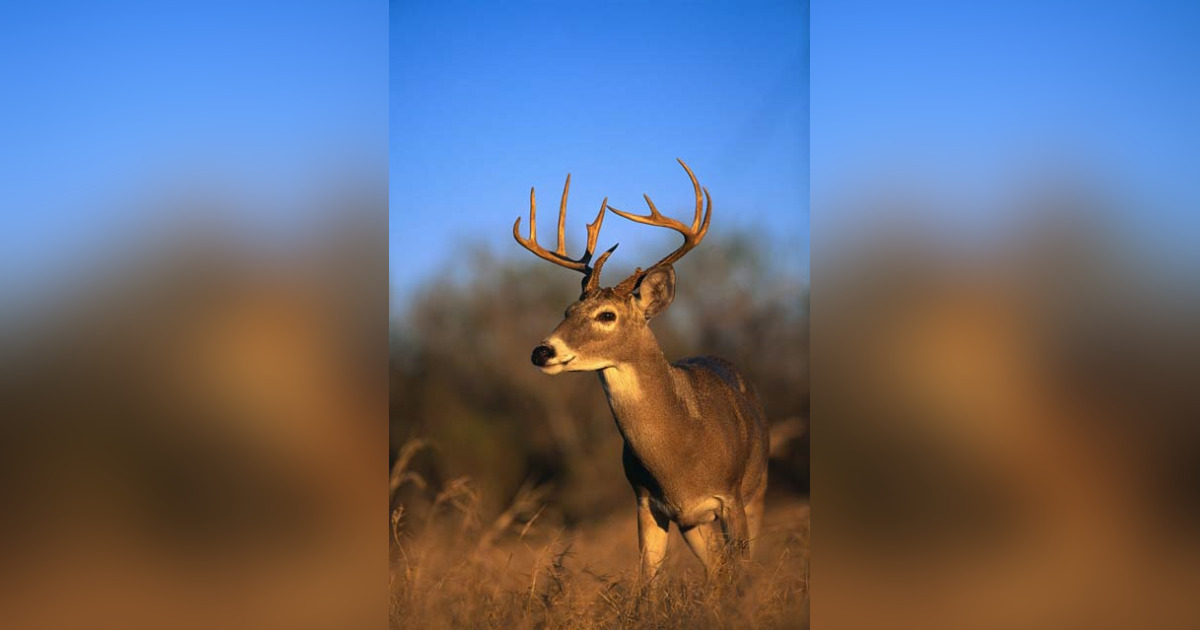 Lawrence "Larry" Hinzman