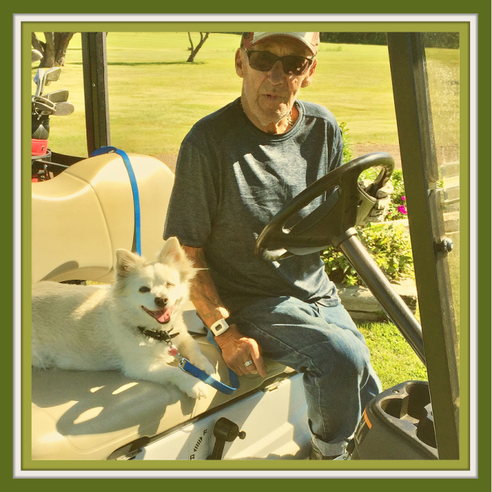 Obituary for Mervin Lorimer (Merv) Strong Wombold Family Funeral Homes