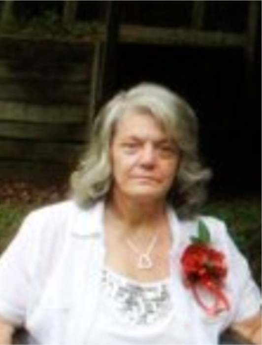 Obituary for Diana Gail Workman Freeman Funeral Home, Inc.