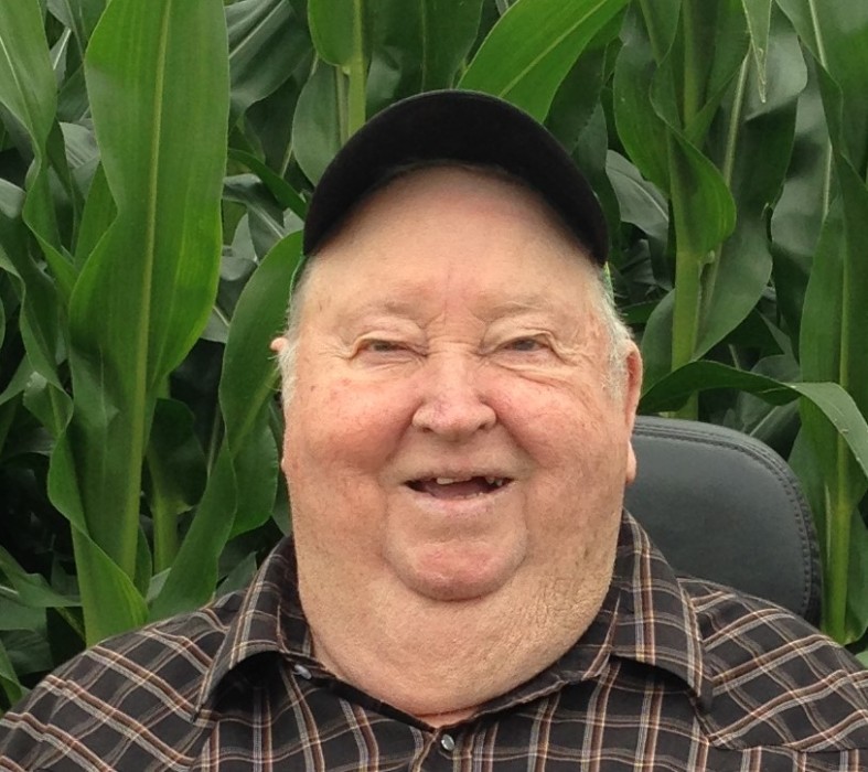 Obituary for Gene C. Larson Hindt Funeral Home, LeRoy, MN