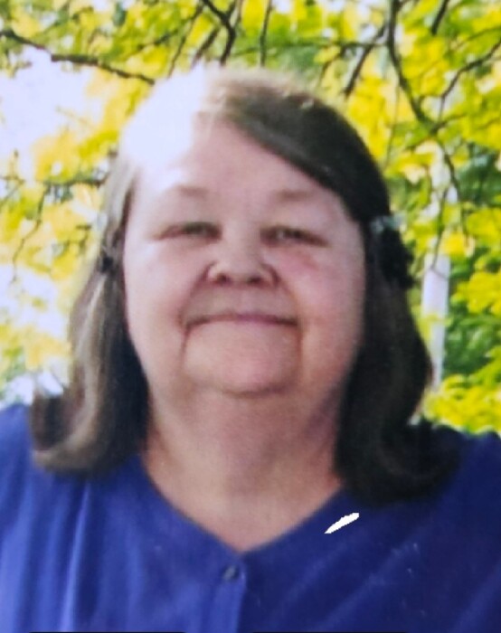 Obituary for Sheila Diane Jones Shirley & Stout, Hasler & Stout