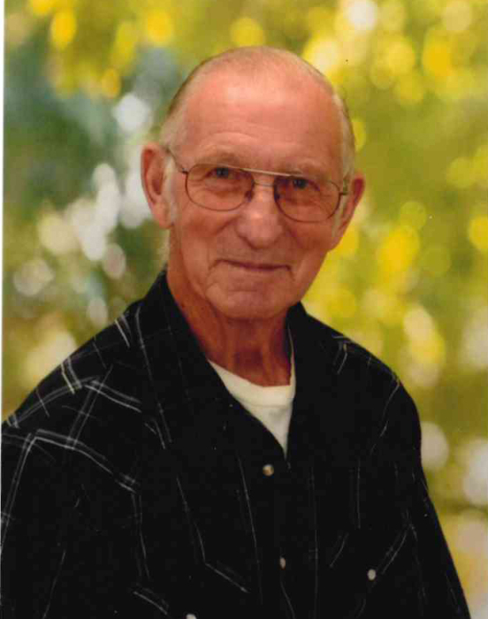 Louis Patro Obituary May 28, 2022 LeonardMuller Funeral Home