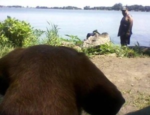 Obituary For Michael Edward Roush Newman Funeral Homes