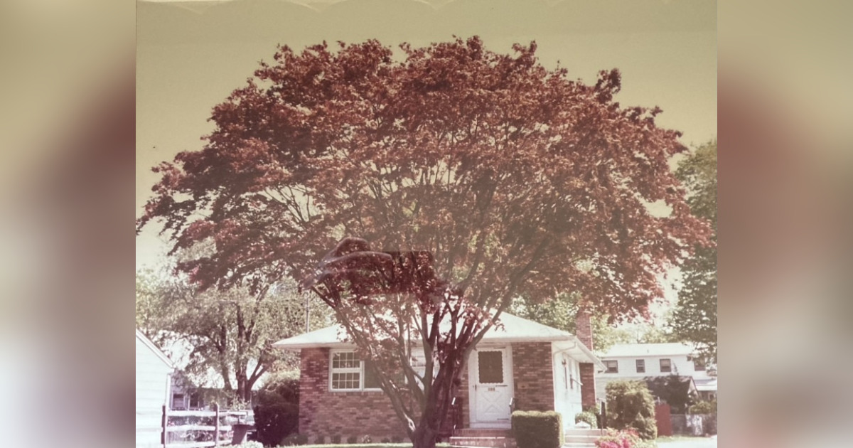 Sr. Theodore G. Dorfmeister