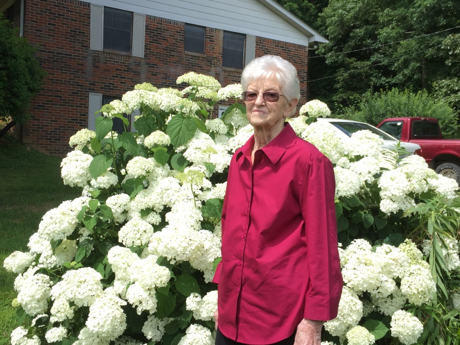Elise Lancaster Obituary March 13, 2022 UptonHay Funeral Home, LLC