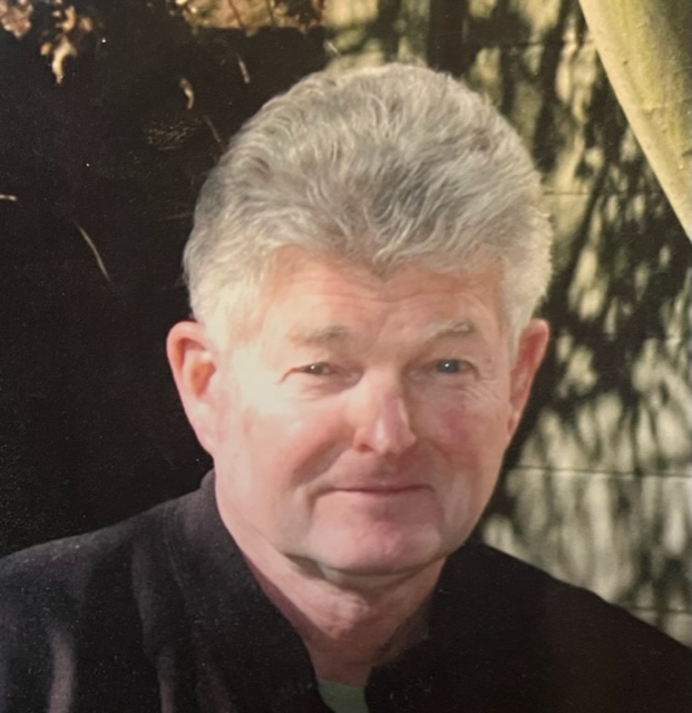 Obituary for Dr. Robert Neubauer Naegele Kleb & Ihlendorf