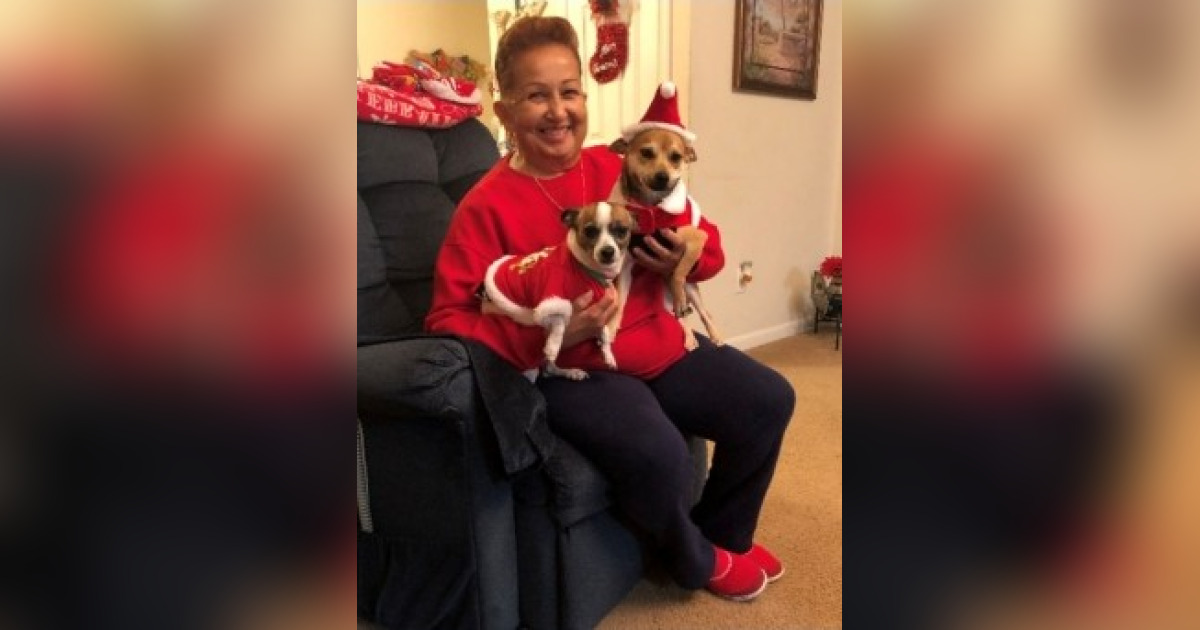 Obituary for Carmen Josefa Colon East Haven Funeral Home