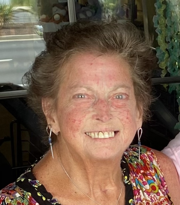 Luanne Janusz Obituary November 20, 2023 Jerry Spears Funeral Home