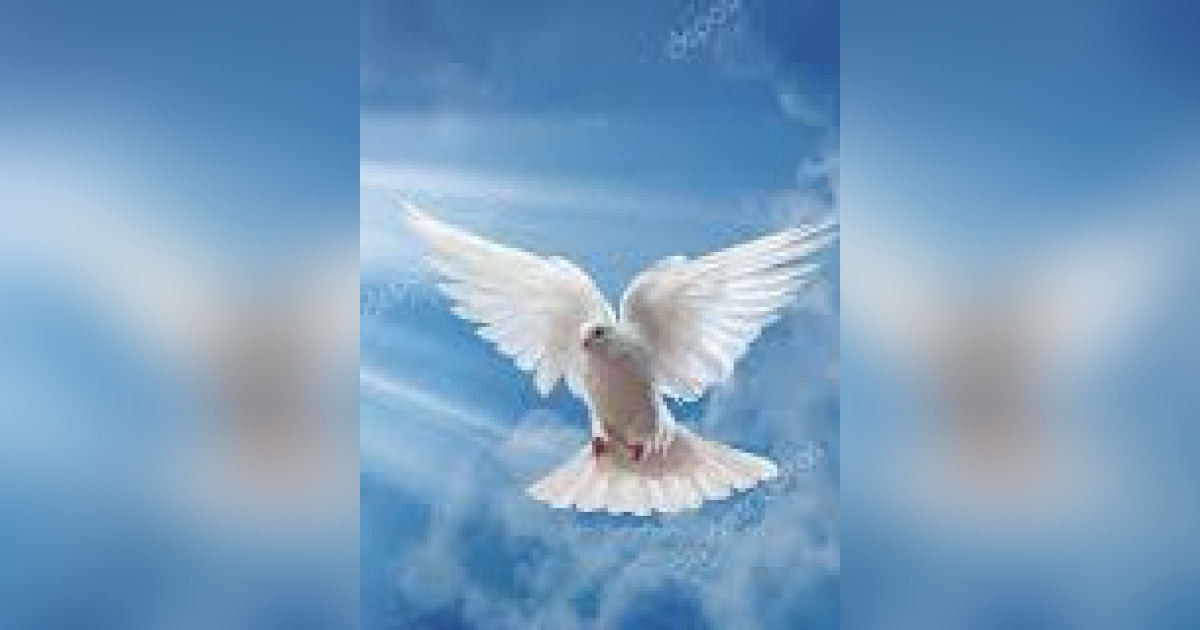 Constance "Connie" Stewart