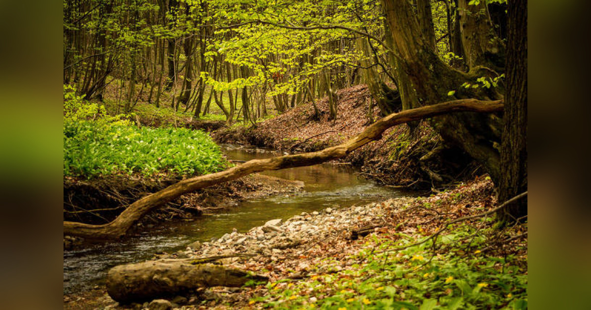 Kenneth "Kenny" Bartron