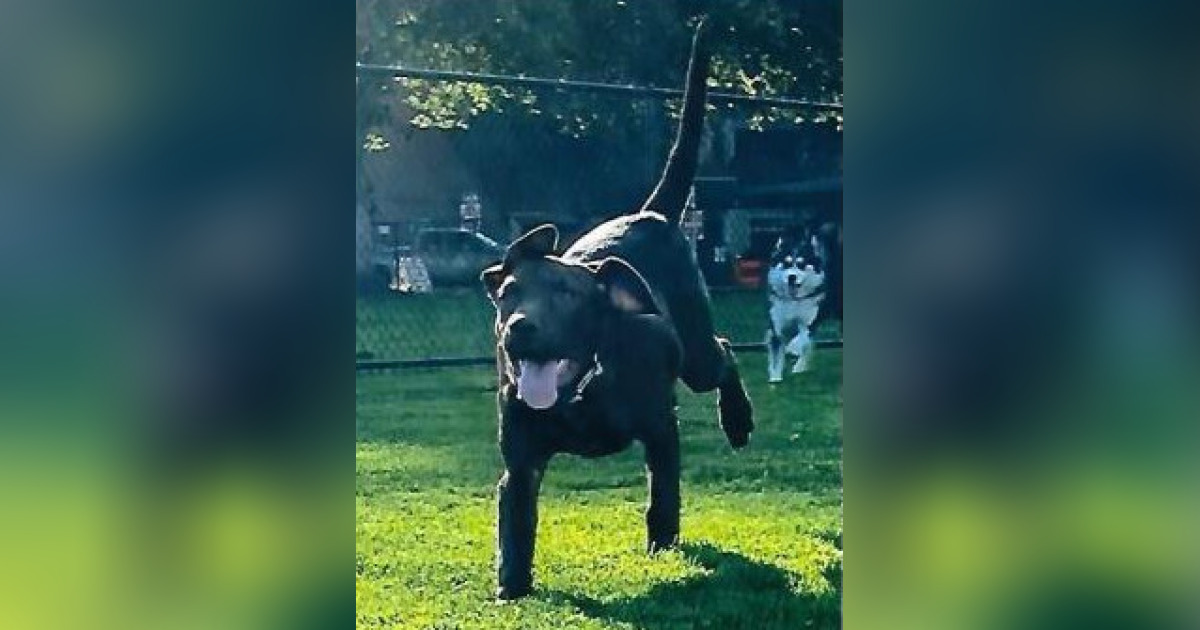 Crowley Obrist Obituary October 31, 2022 Halfway, OR