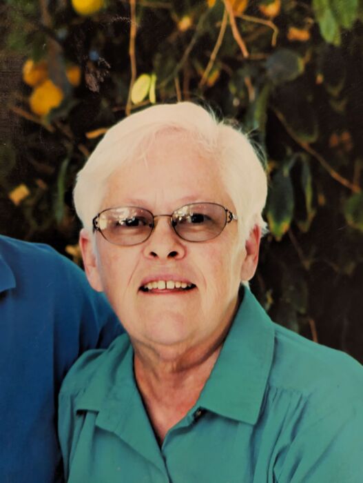 Jana Leavitt Obituary December 24, 2023 Logandale, NV