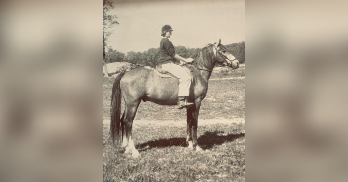 Gale Schaefer Obituary November 30, 2023 Dapson Chestney Funeral