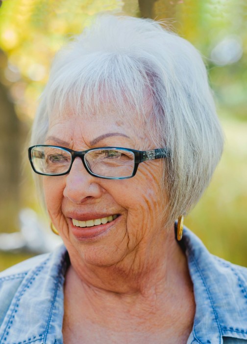 Obituary for Carol Lee (Blokzyl) Sheveland