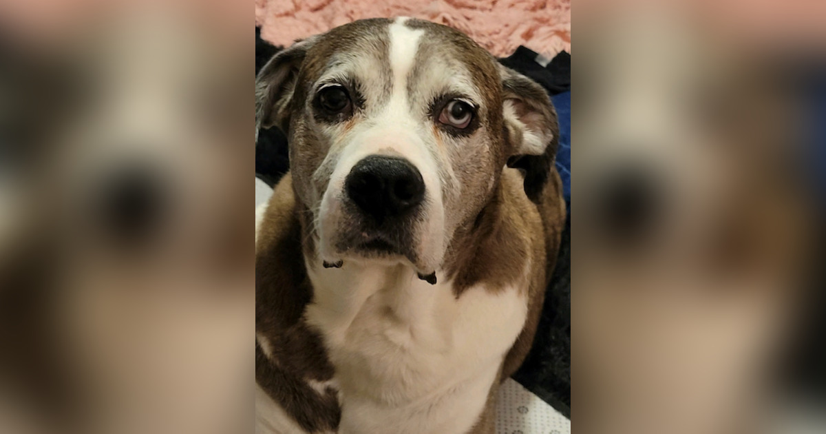 Obituary for Beau Costa May 2, 2022 Taunton, MA