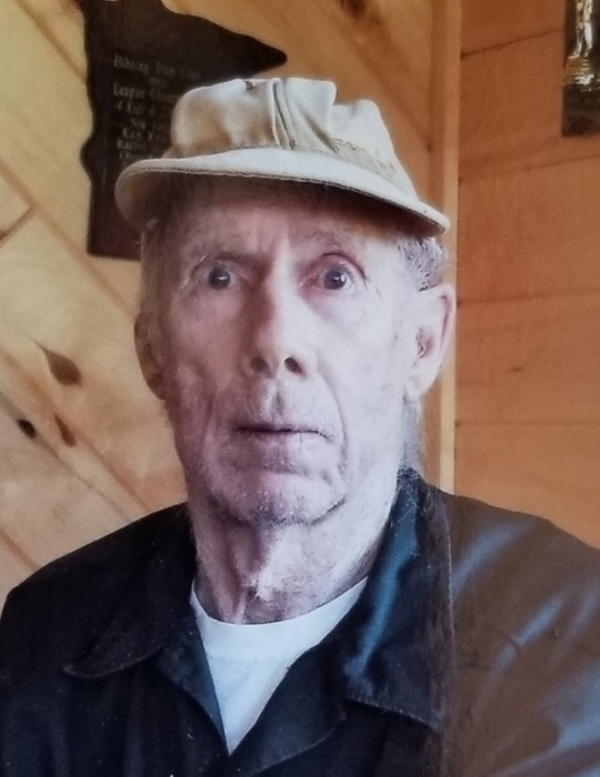 Obituary for Donald W. Bertram Dougherty Funeral Home Hibbing