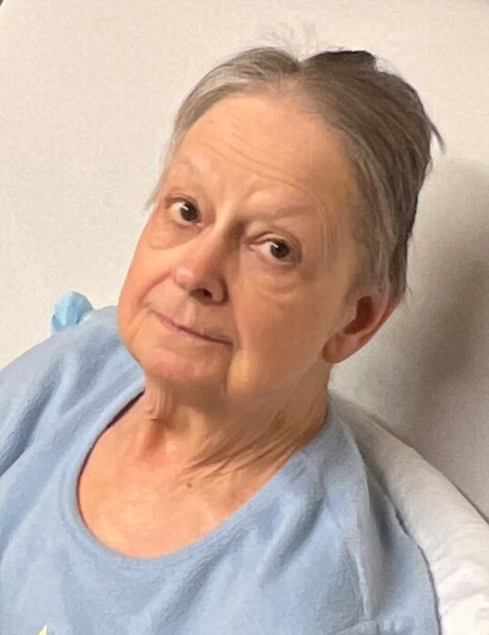 Obituary for Carol L. Thomas Vitt, Stermer & Anderson Funeral Home