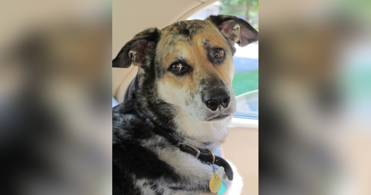 Obituary for Dakota Miller Best Friends Forever