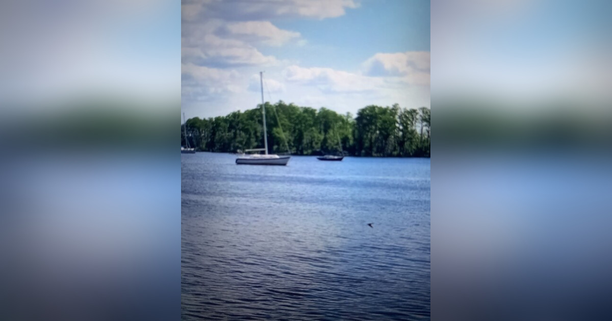 Henderson QuotHintQuot Rose