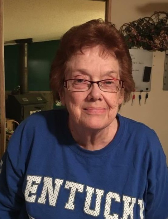 Obituary for Lynne Hinton Collins BooneNickell Funeral Home