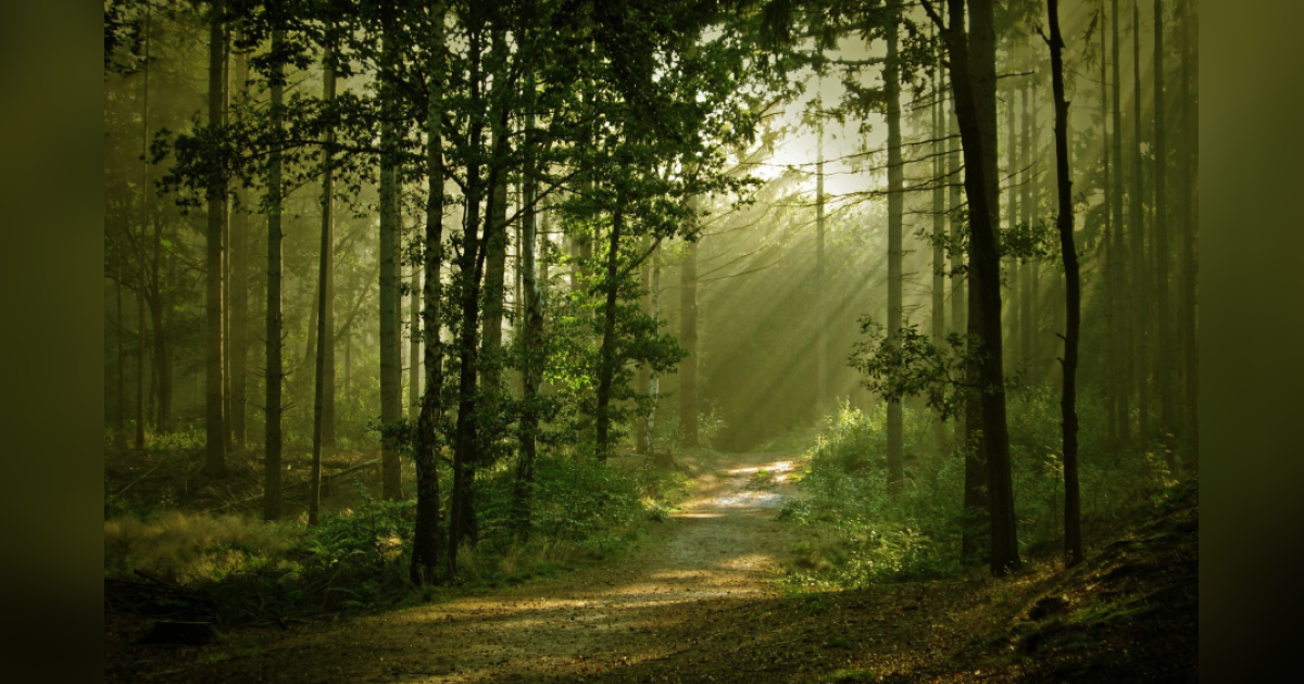 Erskine "Bud" Crowell