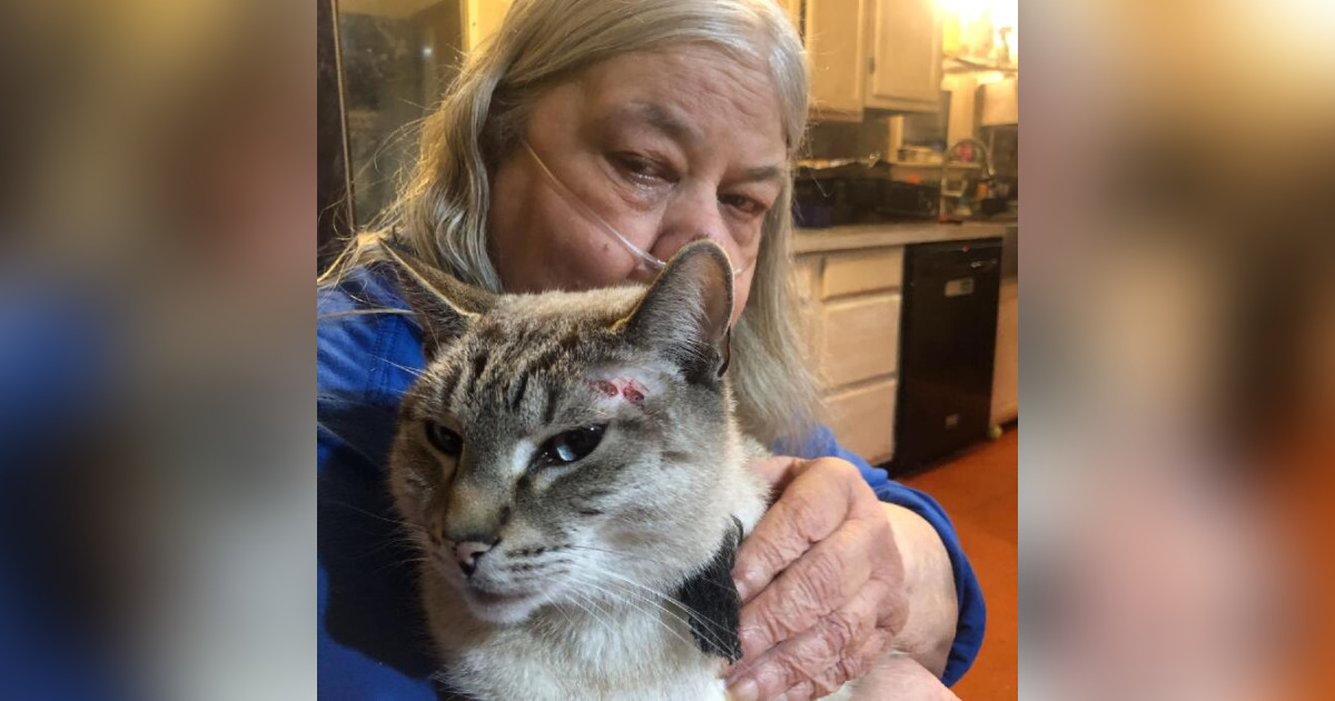 Obituary for Gloria J. (Marcou) Sanborn Johnson Funeral Home