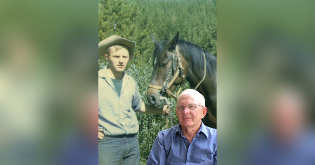 Henry "Hank" Beranek