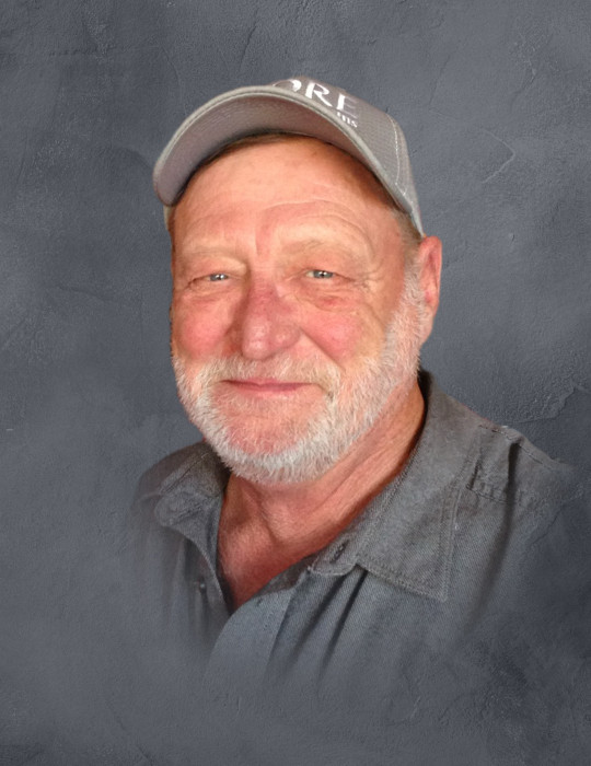 David "Dave" Bryan Obituary July 3, 2024 Goslar Funeral Home and