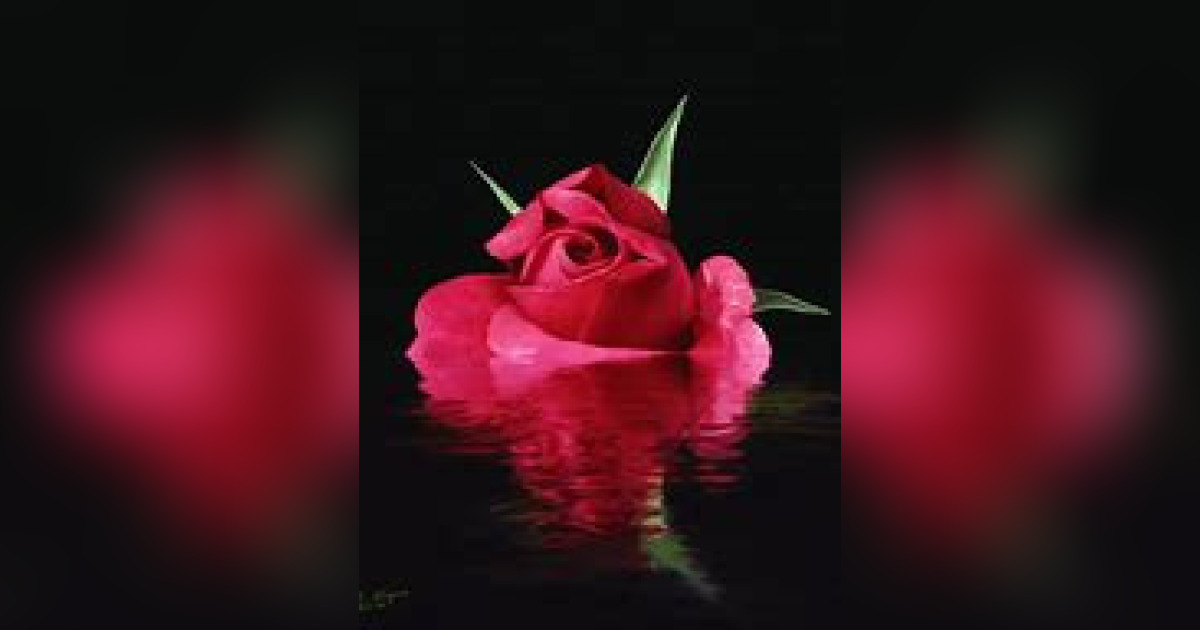 Dr. Hattie Riddick Houston